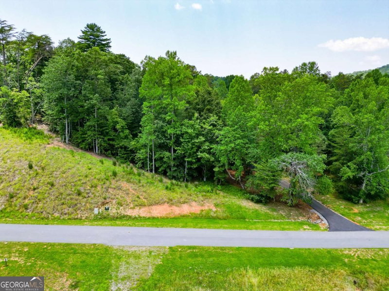 Photo 13 of 0 Yonah Lake Drive