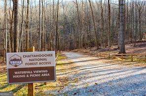 Photo 10 of 0 Yonah Lake Drive