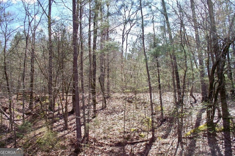 Photo 2 of 1360 NORTHWOODS Drive