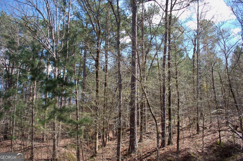 Photo 6 of 1360 NORTHWOODS Drive