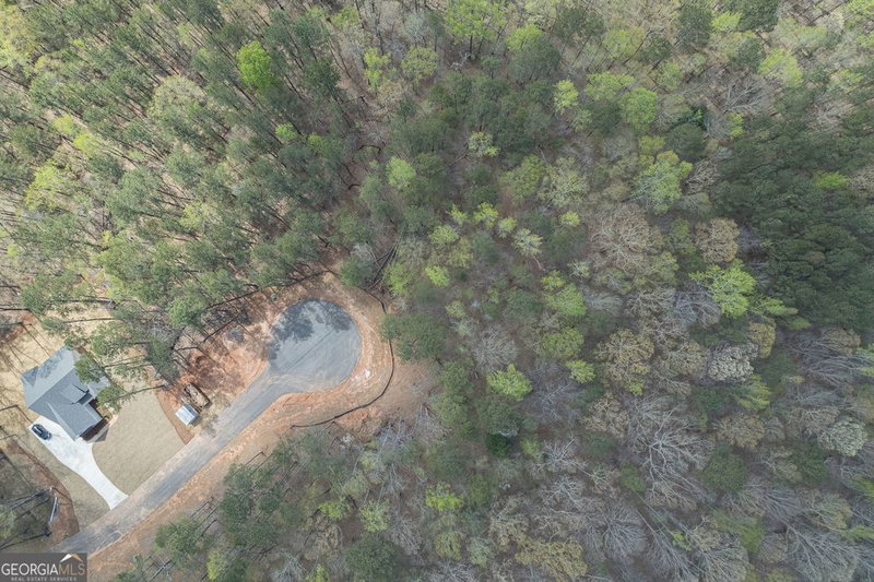 Photo 3 of LOT 4 Puckett Station No Street Suffix