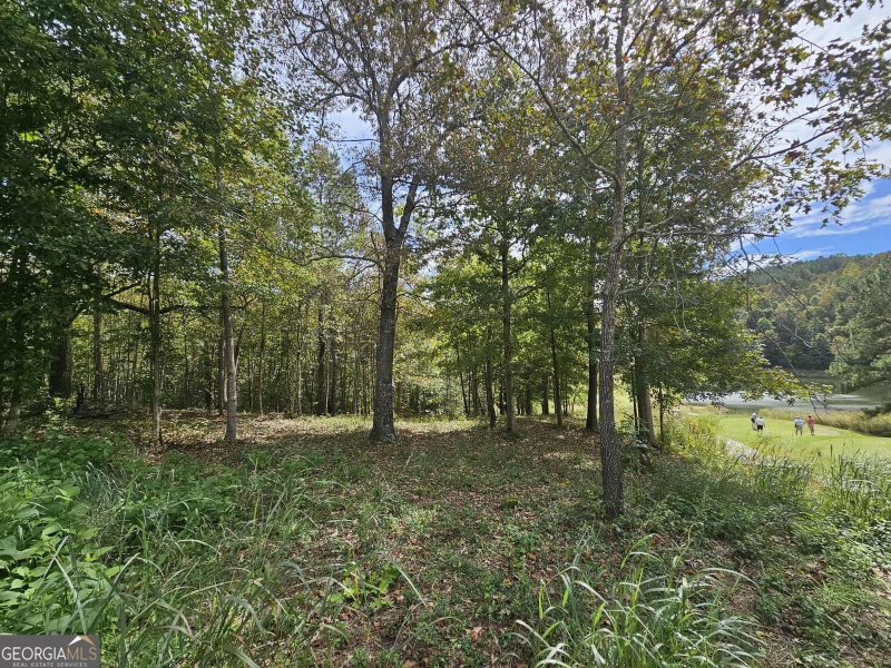 42 Lookout Point