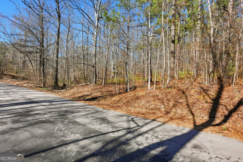 Photo 9 of 0 Pickett Bridge Road