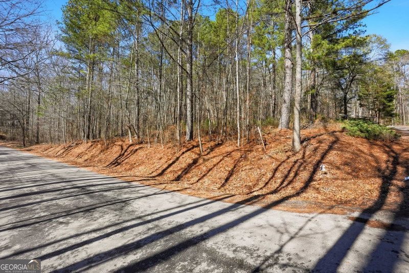 Photo 10 of 0 Pickett Bridge Road