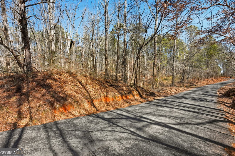 Photo 9 of 0 Pickett Bridge Road