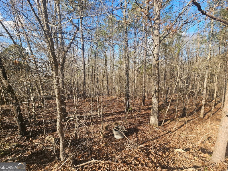 Photo 13 of 1628 Norris Landing Drive