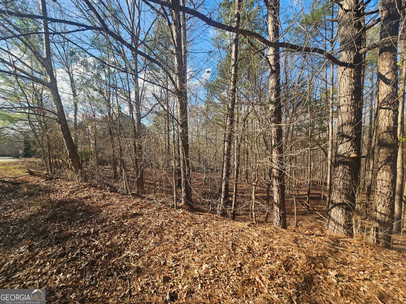 Photo 15 of 1628 Norris Landing Drive