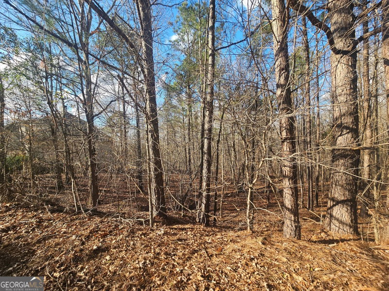 Photo 16 of 1628 Norris Landing Drive