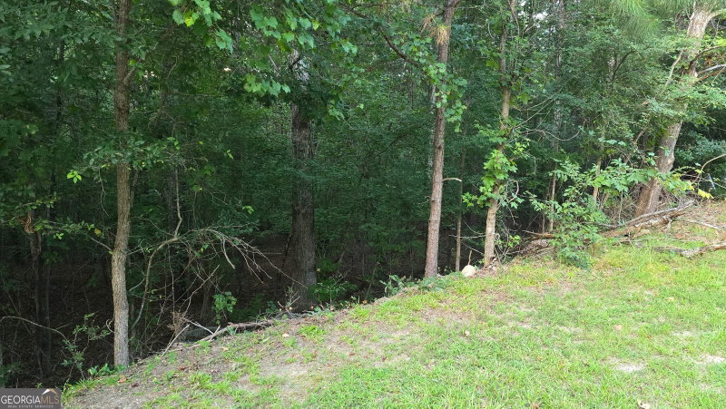 Photo 5 of 1628 Norris Landing Drive