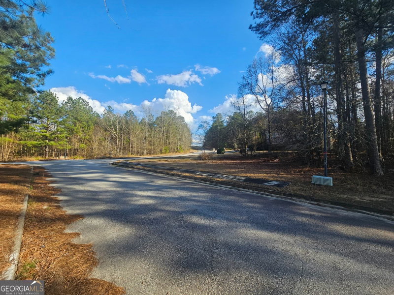 Photo 9 of 1628 Norris Landing Drive