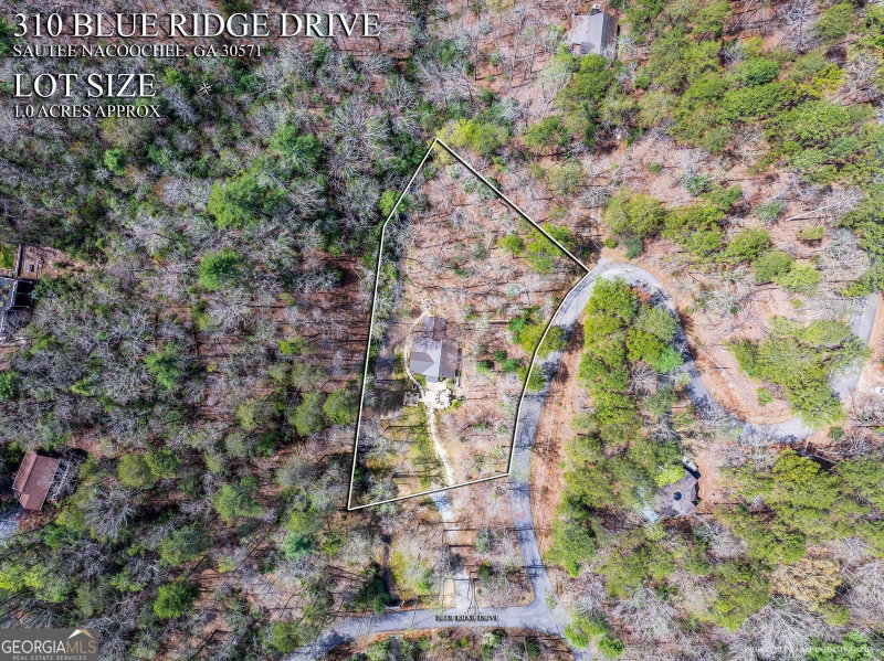 Photo 50 of 310 Blue Ridge Drive