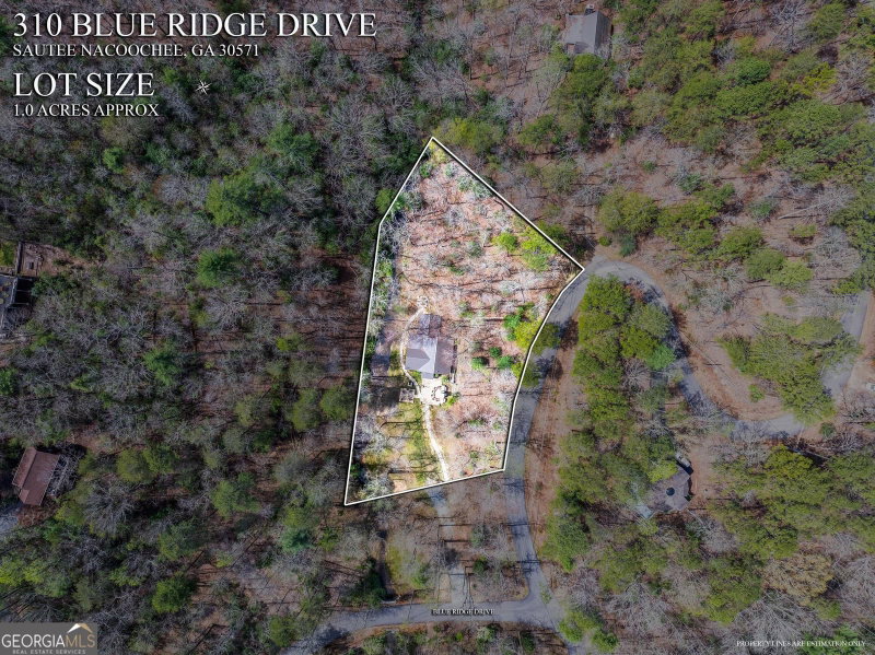 Photo 52 of 310 Blue Ridge Drive