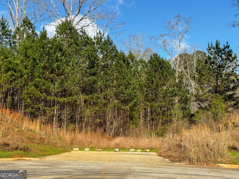 Photo 14 of 105 Crestview Lane