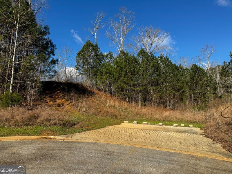 Photo 15 of 105 Crestview Lane