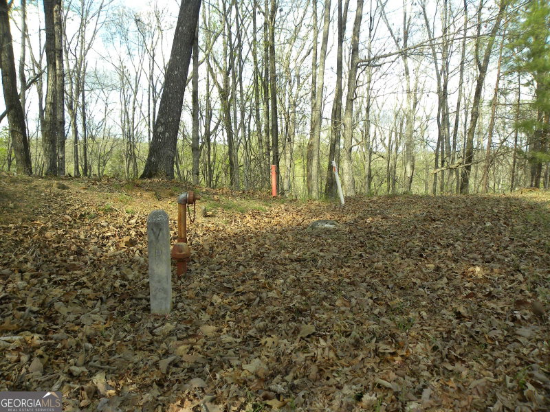 Photo 14 of LOT 25 Planters Knoll