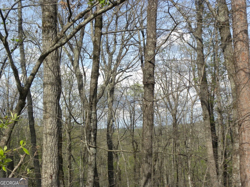 Photo 9 of LOT 25 Planters Knoll