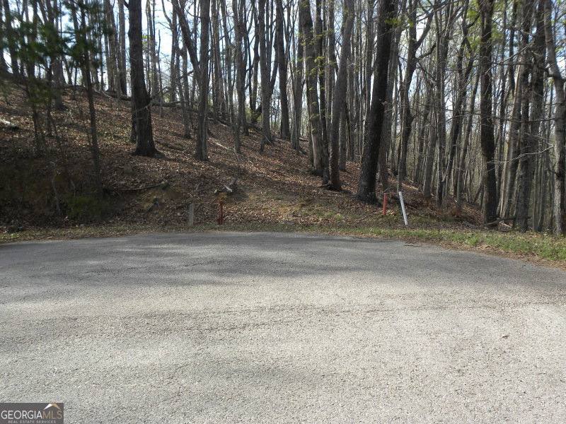 Photo 10 of LOT 25 Planters Knoll