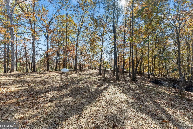 Photo 46 of 339 Hickory Ridge Drive