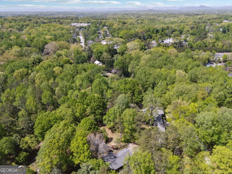 Photo 43 of 1387 Springdale Road