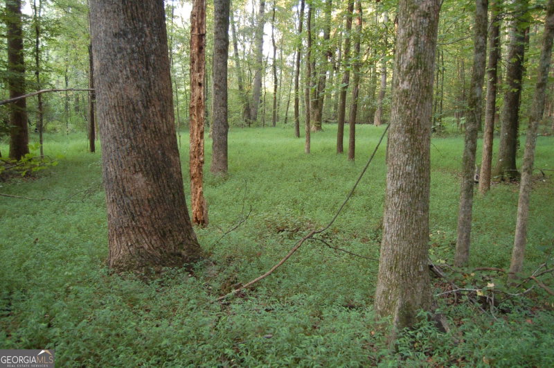 Photo 32 of 429 Frank Kelley Road