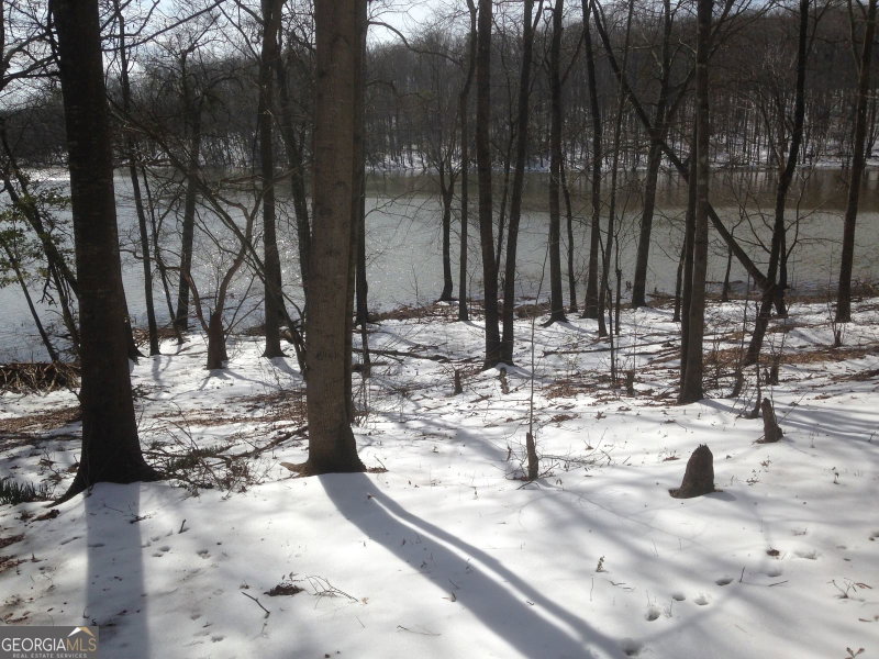 Photo 33 of 429 Frank Kelley Road