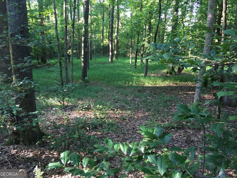 Photo 34 of 429 Frank Kelley Road