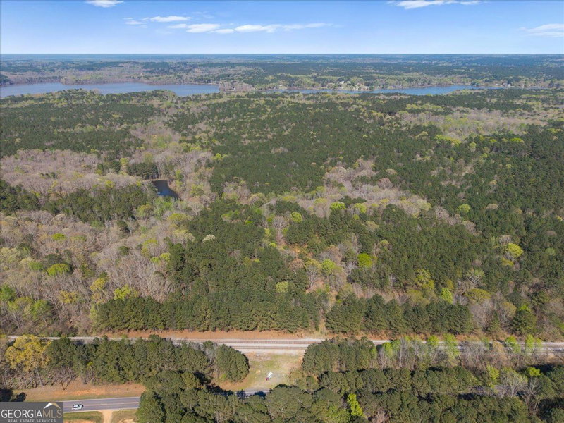 Photo 2 of 198 +/- ACRES Apalachee Woods Trail