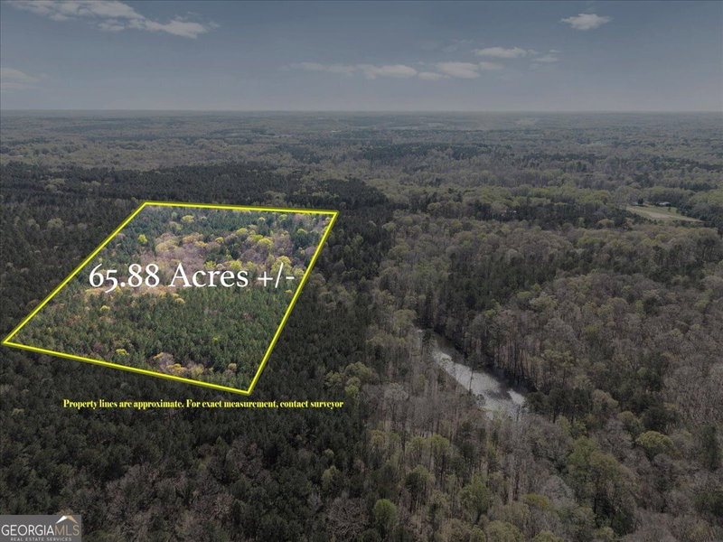Photo 11 of 198 +/- ACRES Apalachee Woods Trail