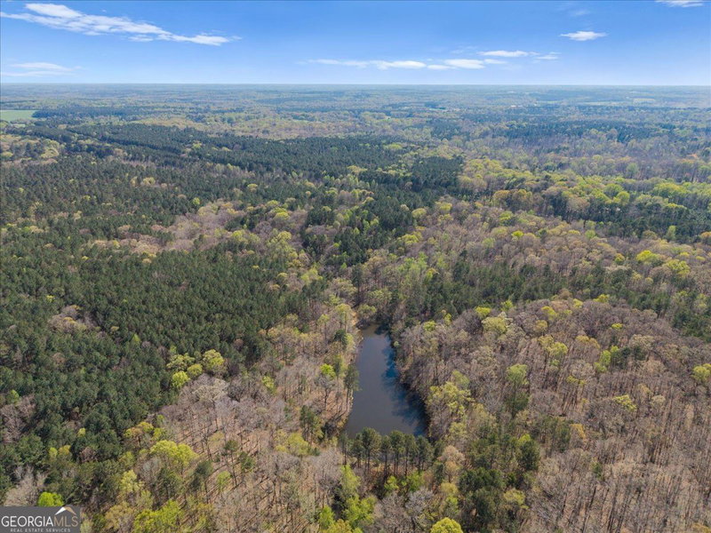 Photo 12 of 198 +/- ACRES Apalachee Woods Trail