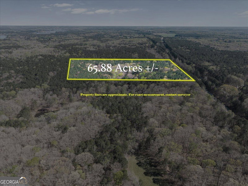 Photo 14 of 198 +/- ACRES Apalachee Woods Trail