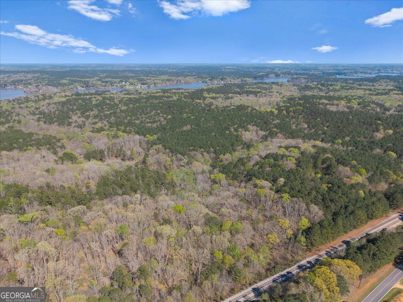 Photo 15 of 198 +/- ACRES Apalachee Woods Trail