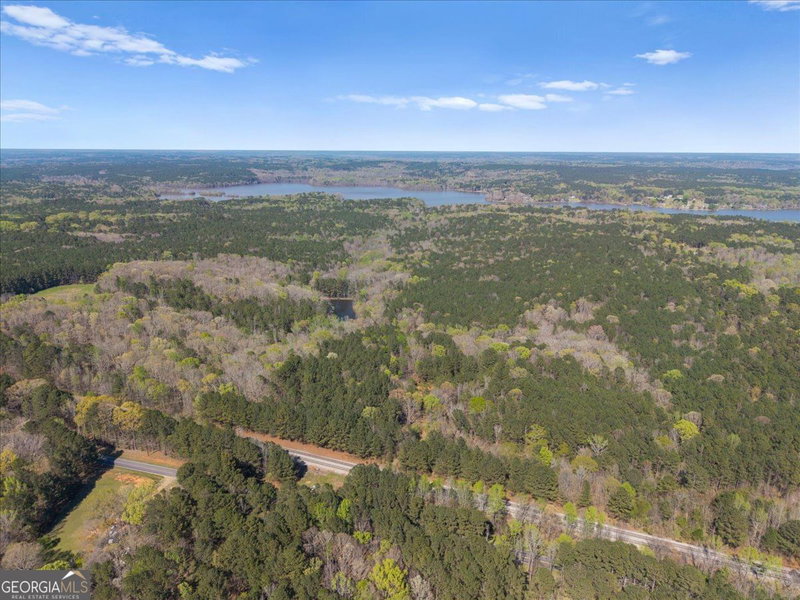 Photo 16 of 198 +/- ACRES Apalachee Woods Trail