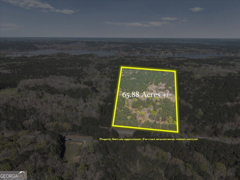 Photo 18 of 198 +/- ACRES Apalachee Woods Trail