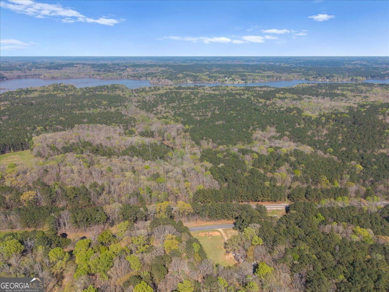 Photo 19 of 198 +/- ACRES Apalachee Woods Trail
