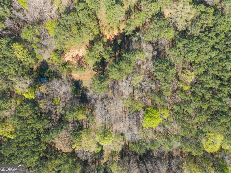 Photo 20 of 198 +/- ACRES Apalachee Woods Trail