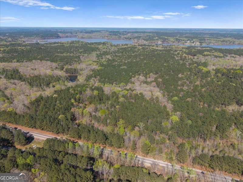 Photo 3 of 198 +/- ACRES Apalachee Woods Trail