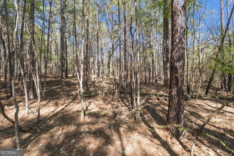 Photo 24 of 198 +/- ACRES Apalachee Woods Trail