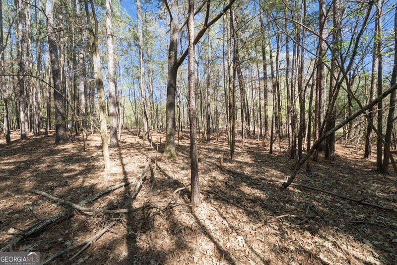 Photo 25 of 198 +/- ACRES Apalachee Woods Trail