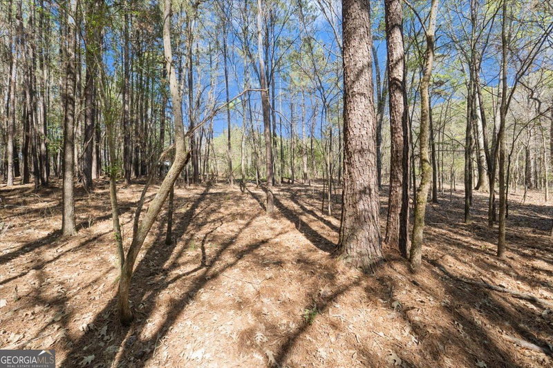 Photo 26 of 198 +/- ACRES Apalachee Woods Trail