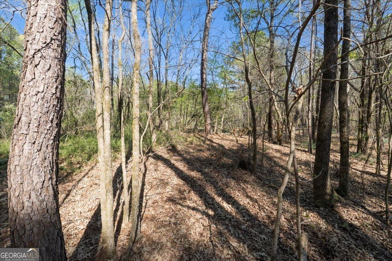 Photo 27 of 198 +/- ACRES Apalachee Woods Trail