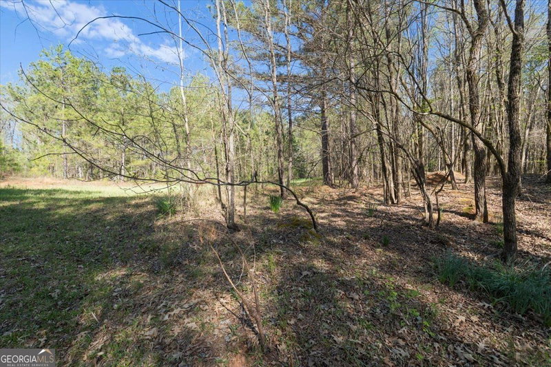 Photo 28 of 198 +/- ACRES Apalachee Woods Trail
