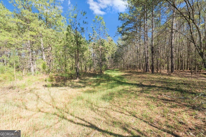 Photo 29 of 198 +/- ACRES Apalachee Woods Trail