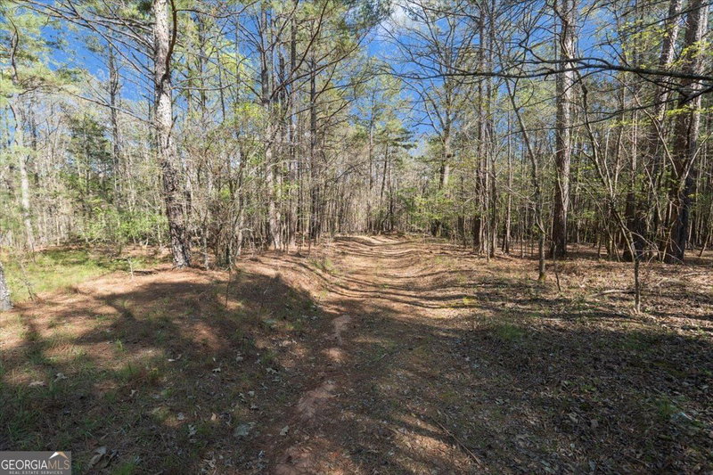 Photo 30 of 198 +/- ACRES Apalachee Woods Trail