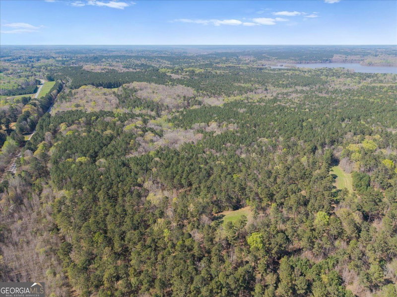 Photo 4 of 198 +/- ACRES Apalachee Woods Trail
