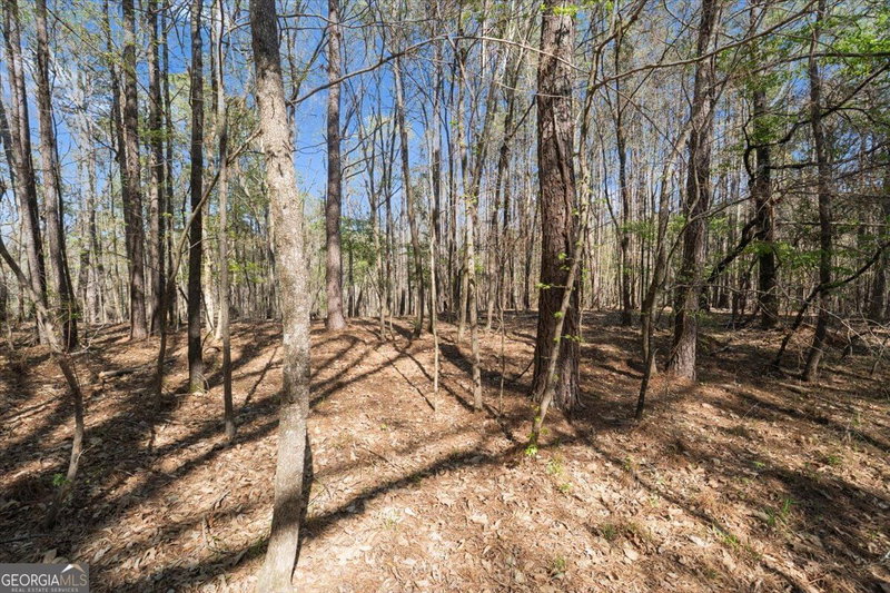 Photo 31 of 198 +/- ACRES Apalachee Woods Trail