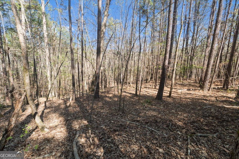 Photo 32 of 198 +/- ACRES Apalachee Woods Trail