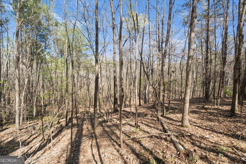 Photo 33 of 198 +/- ACRES Apalachee Woods Trail