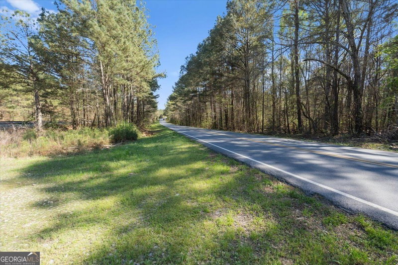 Photo 35 of 198 +/- ACRES Apalachee Woods Trail