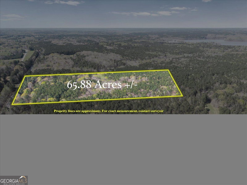 Photo 5 of 198 +/- ACRES Apalachee Woods Trail