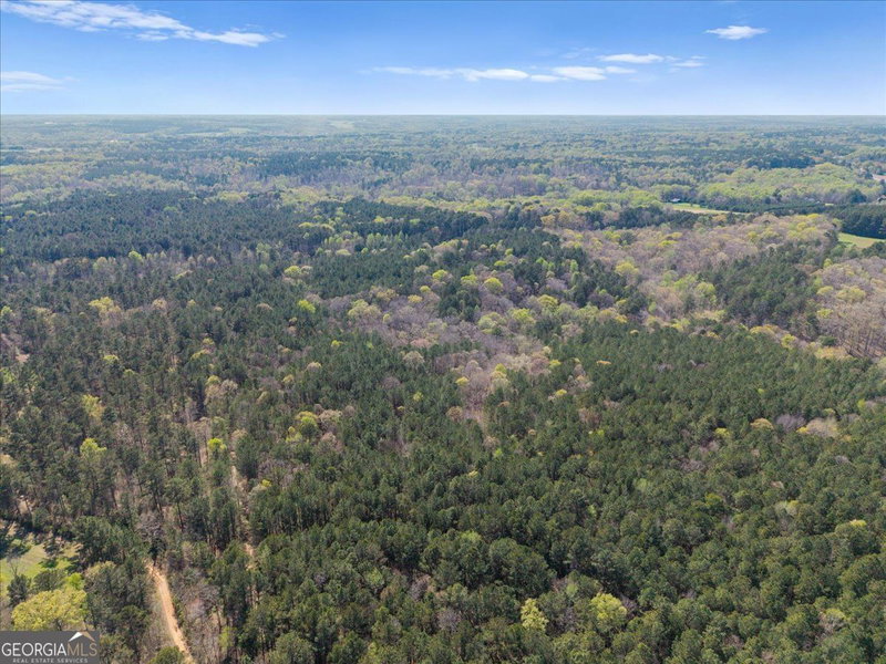 Photo 8 of 198 +/- ACRES Apalachee Woods Trail